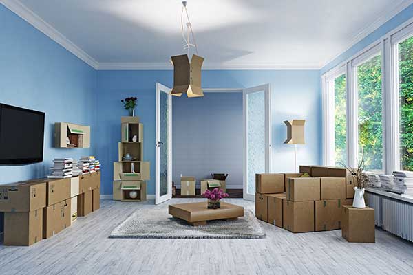 Removals Insurance image