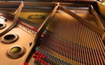 How to move a Piano and Why You Shouldn’t Do it Yourself